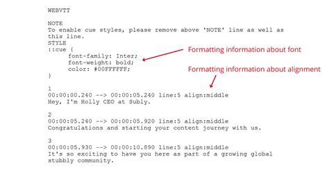 stl subtitle format|The Beginner’s Guide for Subtitle Format Users.